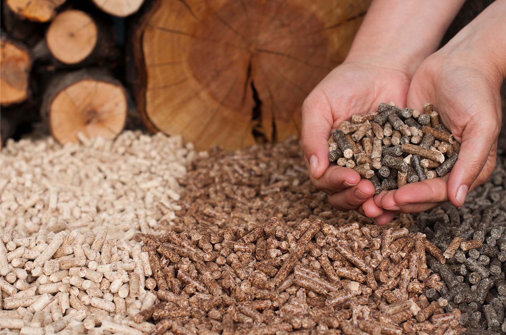 Global Biofuel